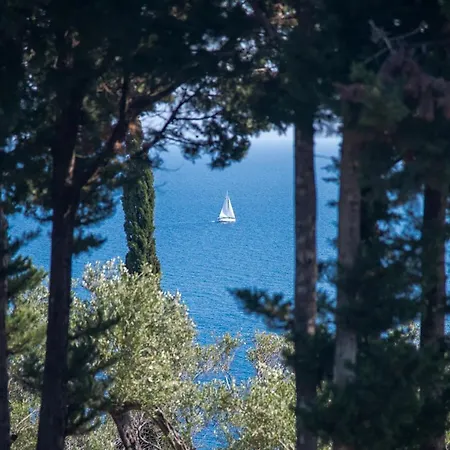 Villa Nero